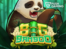 Casino bingo games36